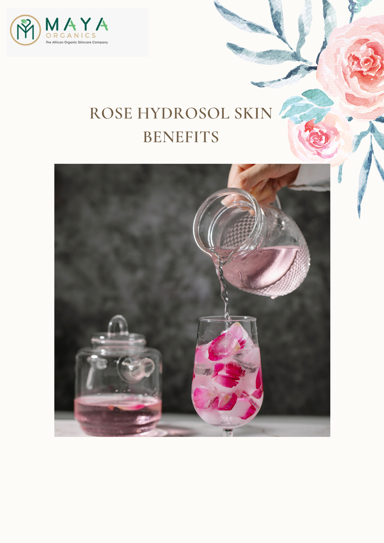 Rose Hydrosol Skin Benefits My Maya